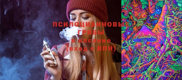 сатива Вязьма