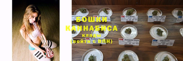 сатива Вязьма