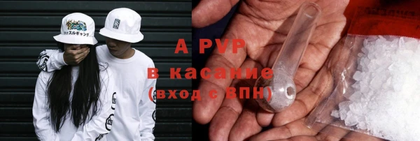 сатива Вязьма