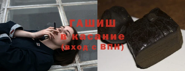 сатива Вязьма