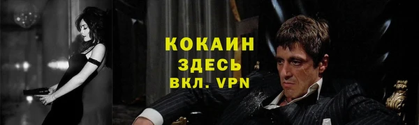 сатива Вязьма