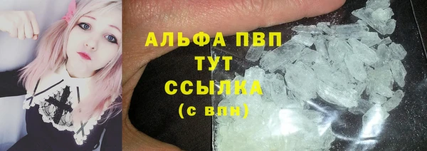 сатива Вязьма