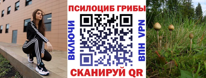 Галлюциногенные грибы Cubensis  ОМГ ОМГ ссылки  Можга 