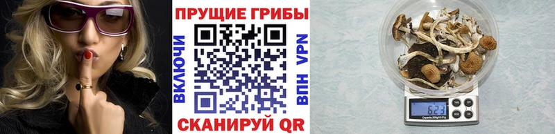 Псилоцибиновые грибы MAGIC MUSHROOMS Можга